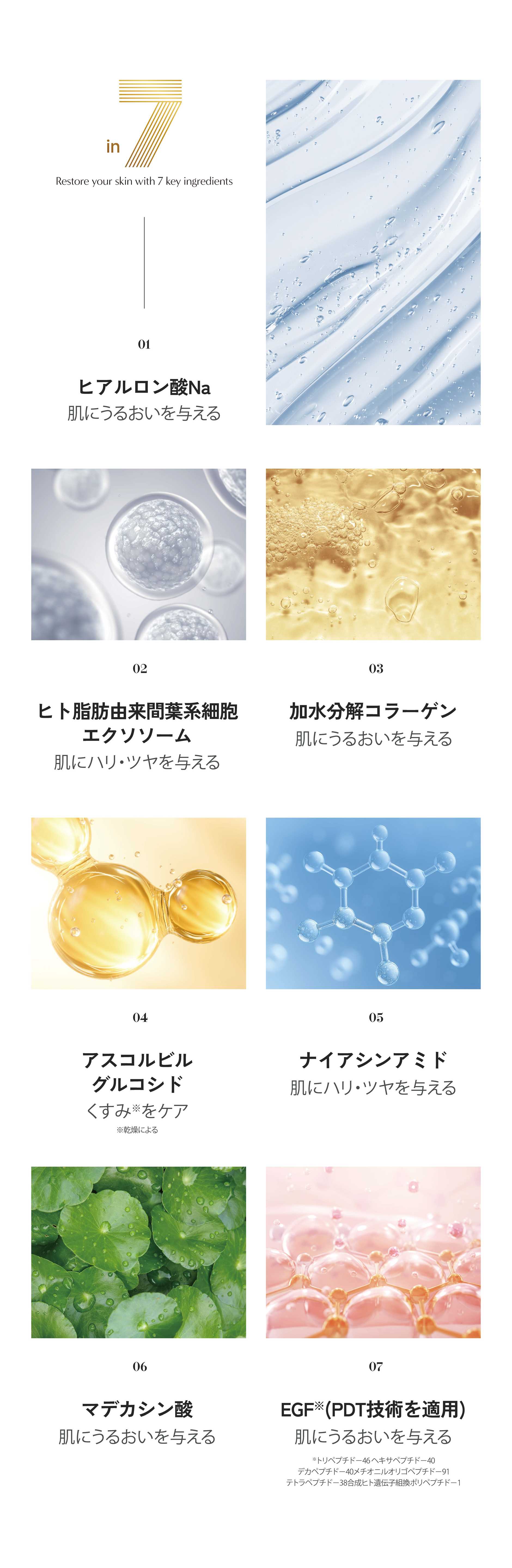 リジェンスキン（RegenSkin） エクソジェンコア Exogen Core