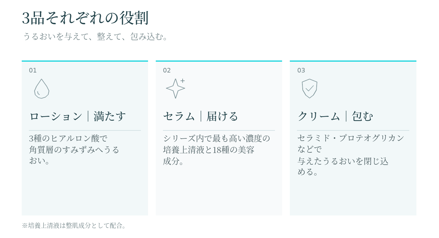 エテルナムDR 3品の役割