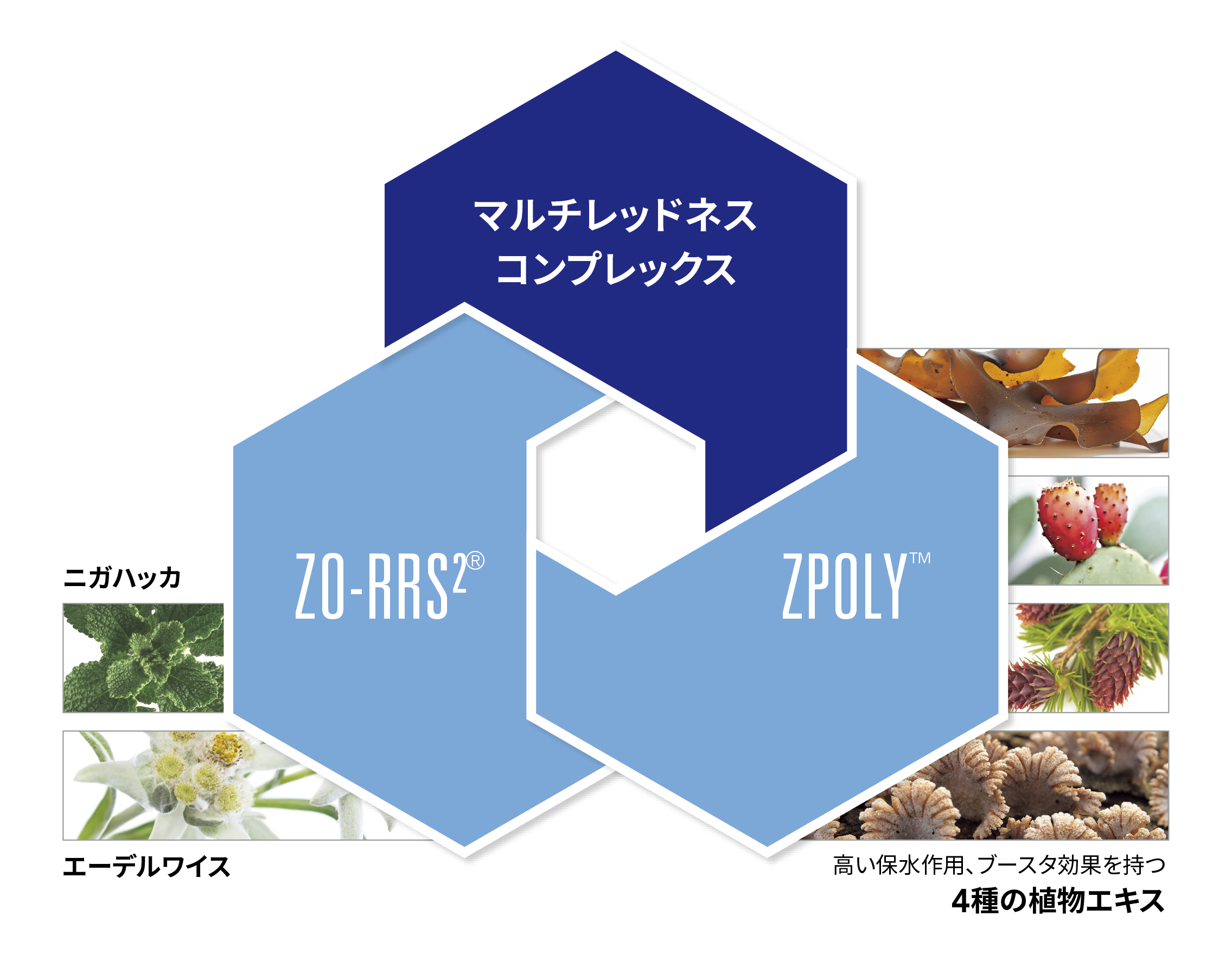 ゼオスキンヘルス ロザトロール成分