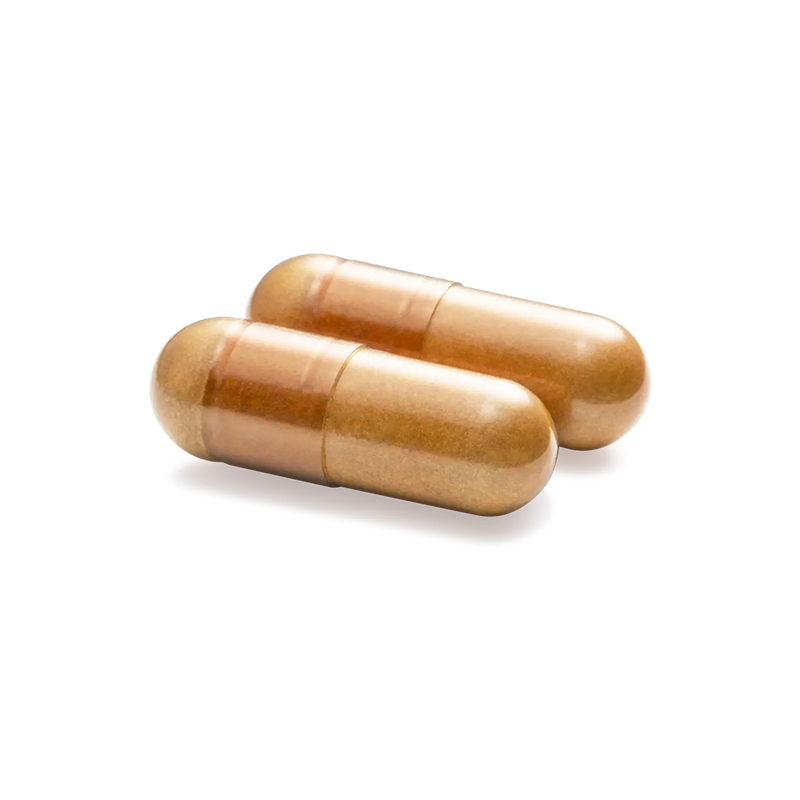 アクティブサプリ（Active Supplement） ビタミンC＋PQQ Vitamin C + PQQ