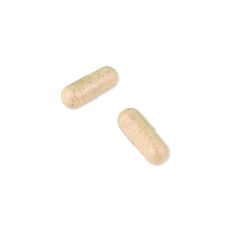 ワカサプリ フォー プロ（Wakasapri for Pro.） 高配合 総合ビタミン（水溶性）