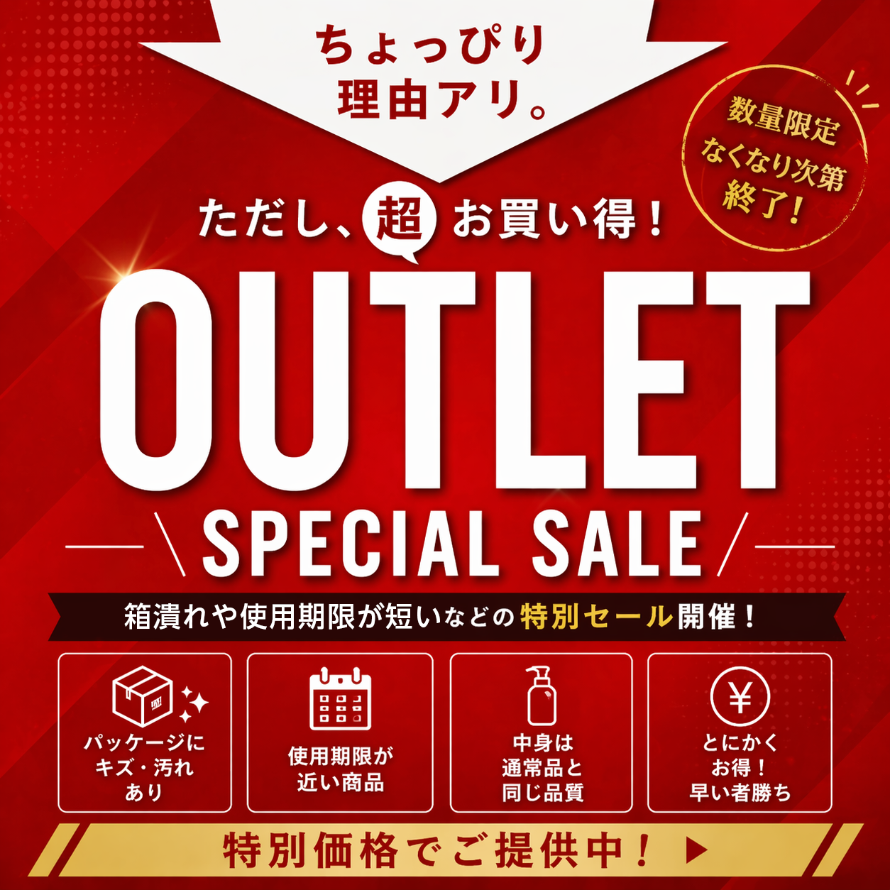 訳アリOUTLET SALE